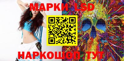 mdpv Гатчина