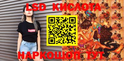 mdpv Гатчина