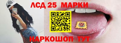 mdpv Гатчина