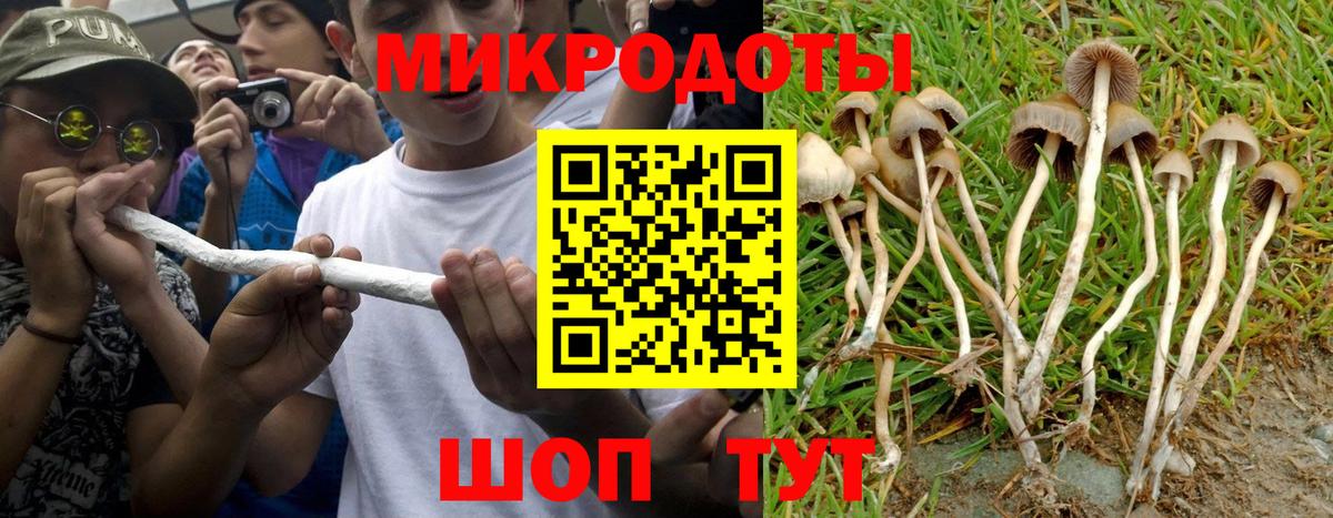 Галлюциногенные грибы мухоморы Изобильный